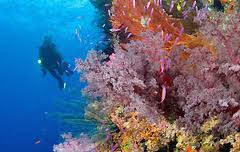 Гранд-Камор. Экстремальный отдых. Гранд-Камор. Экстремальный отдых.